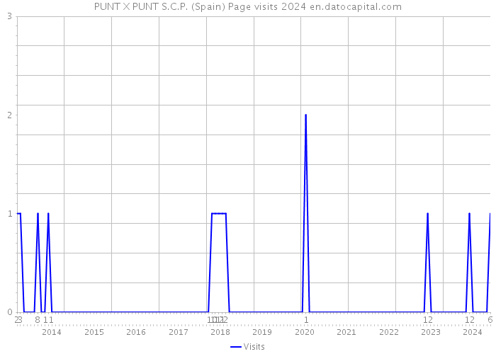 PUNT X PUNT S.C.P. (Spain) Page visits 2024 