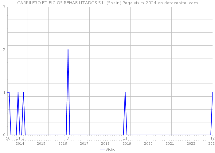 CARRILERO EDIFICIOS REHABILITADOS S.L. (Spain) Page visits 2024 