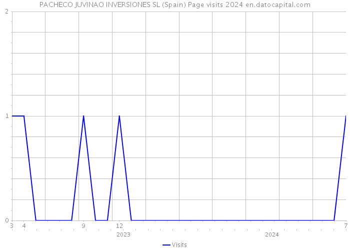 PACHECO JUVINAO INVERSIONES SL (Spain) Page visits 2024 