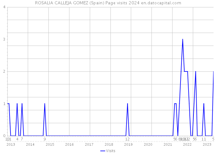 ROSALIA CALLEJA GOMEZ (Spain) Page visits 2024 