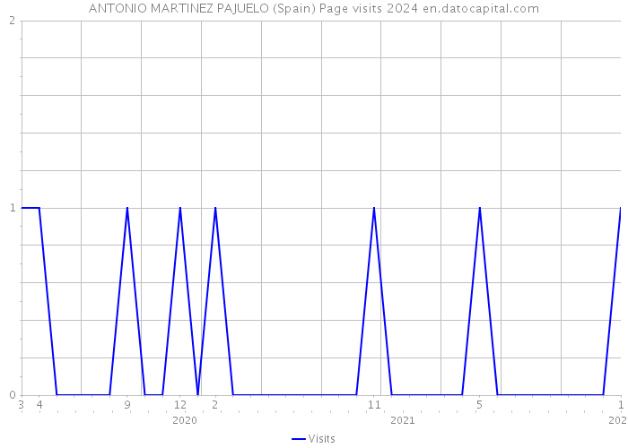 ANTONIO MARTINEZ PAJUELO (Spain) Page visits 2024 
