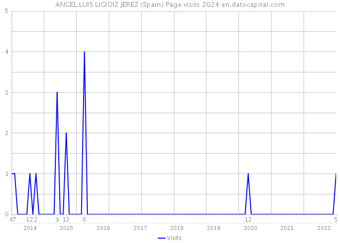 ANGEL LUIS LIGIOIZ JEREZ (Spain) Page visits 2024 