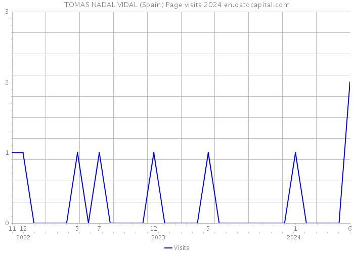 TOMAS NADAL VIDAL (Spain) Page visits 2024 