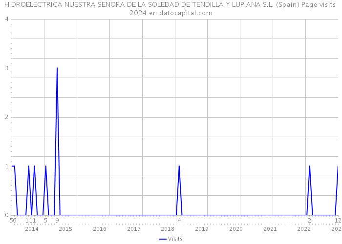 HIDROELECTRICA NUESTRA SENORA DE LA SOLEDAD DE TENDILLA Y LUPIANA S.L. (Spain) Page visits 2024 