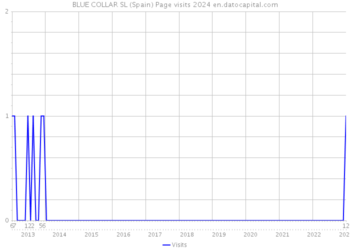 BLUE COLLAR SL (Spain) Page visits 2024 