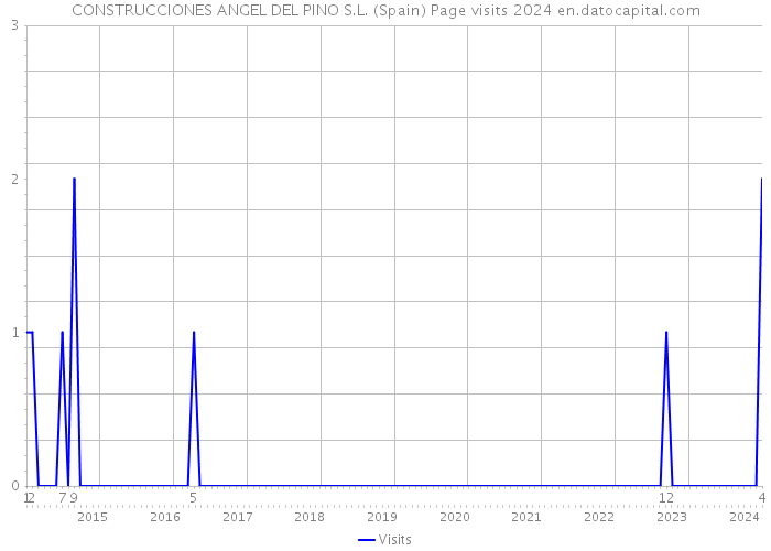 CONSTRUCCIONES ANGEL DEL PINO S.L. (Spain) Page visits 2024 