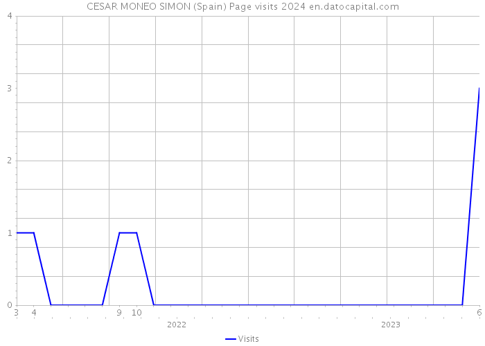 CESAR MONEO SIMON (Spain) Page visits 2024 