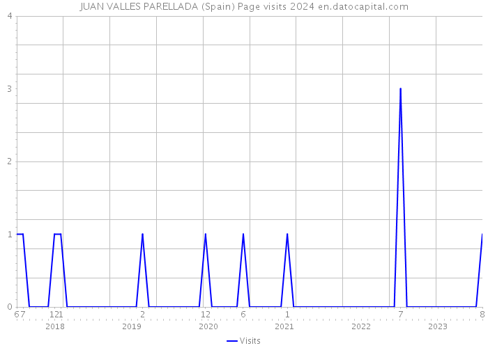 JUAN VALLES PARELLADA (Spain) Page visits 2024 