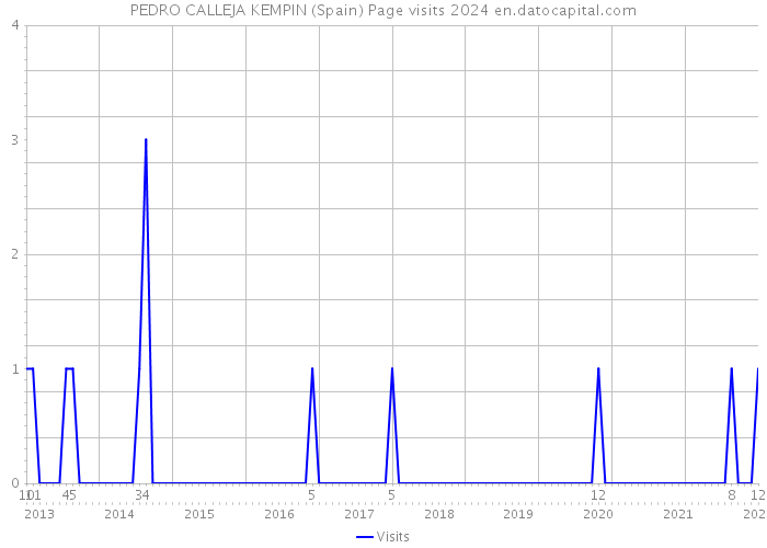 PEDRO CALLEJA KEMPIN (Spain) Page visits 2024 