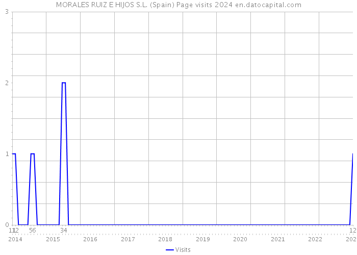 MORALES RUIZ E HIJOS S.L. (Spain) Page visits 2024 