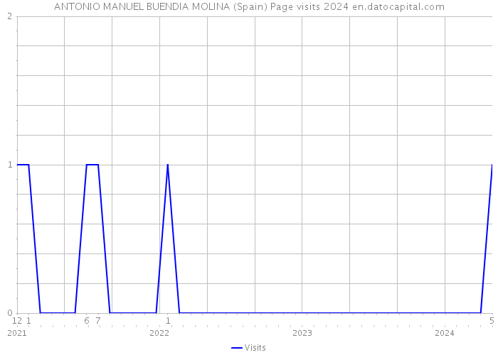 ANTONIO MANUEL BUENDIA MOLINA (Spain) Page visits 2024 