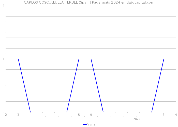 CARLOS COSCULLUELA TERUEL (Spain) Page visits 2024 
