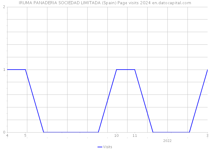IRUMA PANADERIA SOCIEDAD LIMITADA (Spain) Page visits 2024 