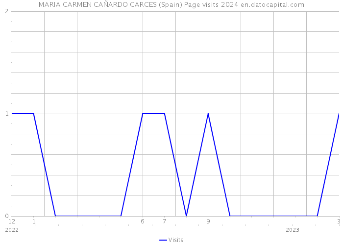 MARIA CARMEN CAÑARDO GARCES (Spain) Page visits 2024 
