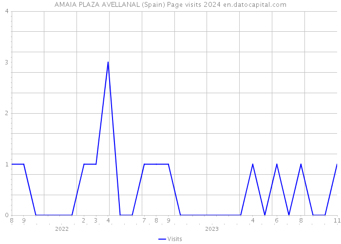 AMAIA PLAZA AVELLANAL (Spain) Page visits 2024 