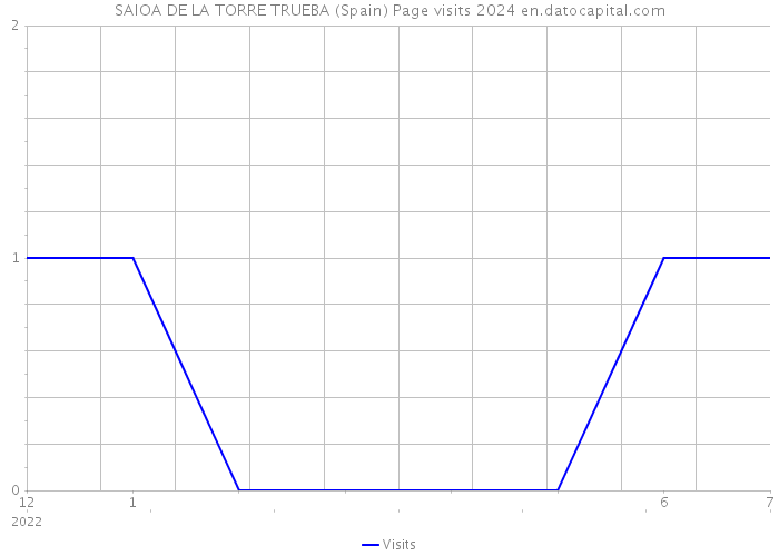 SAIOA DE LA TORRE TRUEBA (Spain) Page visits 2024 