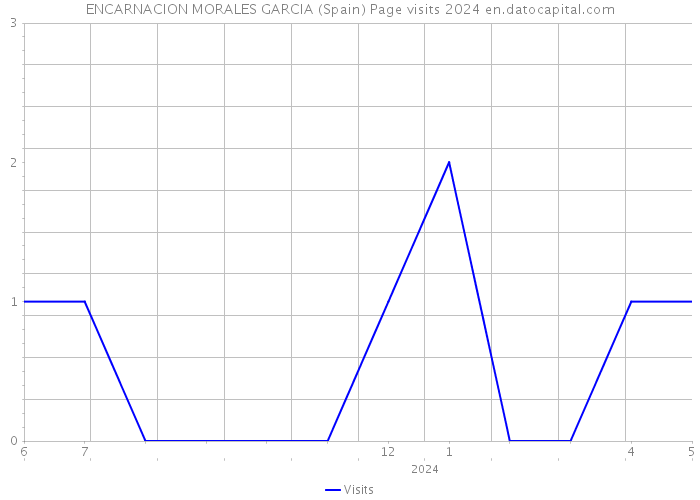 ENCARNACION MORALES GARCIA (Spain) Page visits 2024 