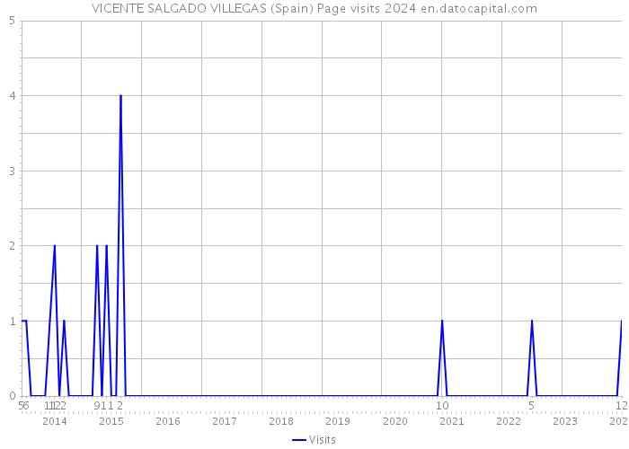 VICENTE SALGADO VILLEGAS (Spain) Page visits 2024 