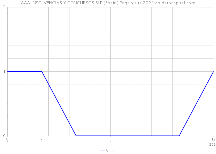 AAA INSOLVENCIAS Y CONCURSOS SLP (Spain) Page visits 2024 