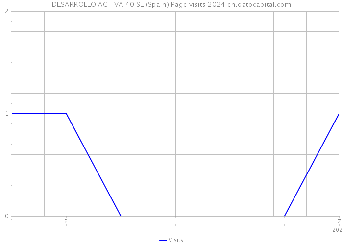 DESARROLLO ACTIVA 40 SL (Spain) Page visits 2024 