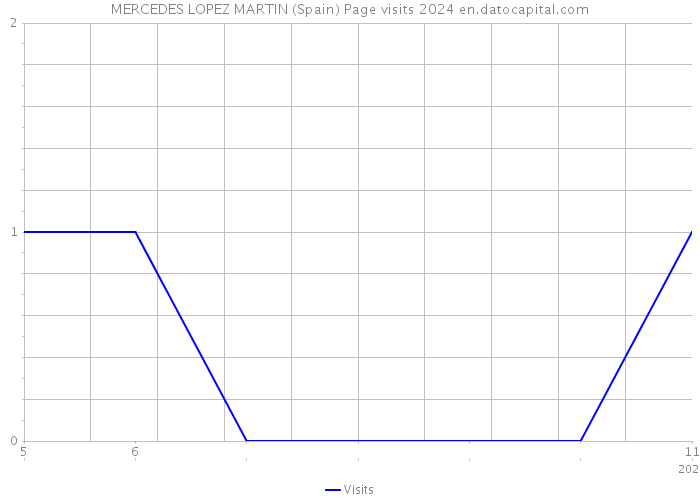 MERCEDES LOPEZ MARTIN (Spain) Page visits 2024 