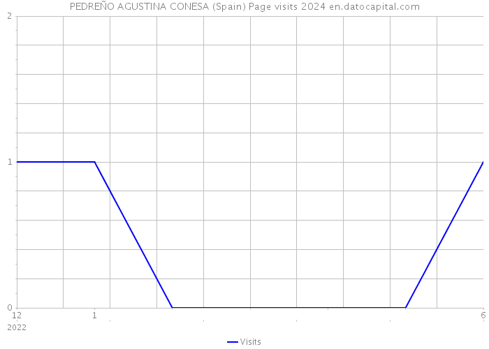 PEDREÑO AGUSTINA CONESA (Spain) Page visits 2024 