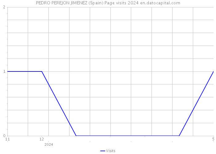 PEDRO PEREJON JIMENEZ (Spain) Page visits 2024 