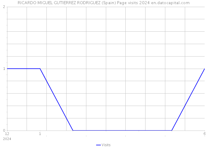 RICARDO MIGUEL GUTIERREZ RODRIGUEZ (Spain) Page visits 2024 