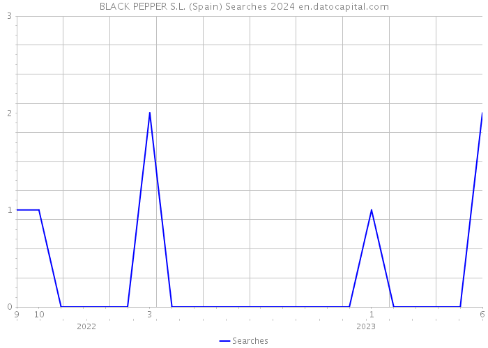 BLACK PEPPER S.L. (Spain) Searches 2024 