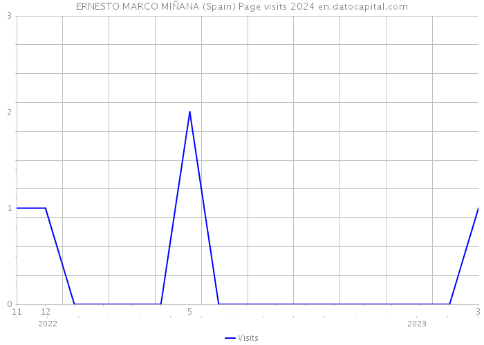 ERNESTO MARCO MIÑANA (Spain) Page visits 2024 