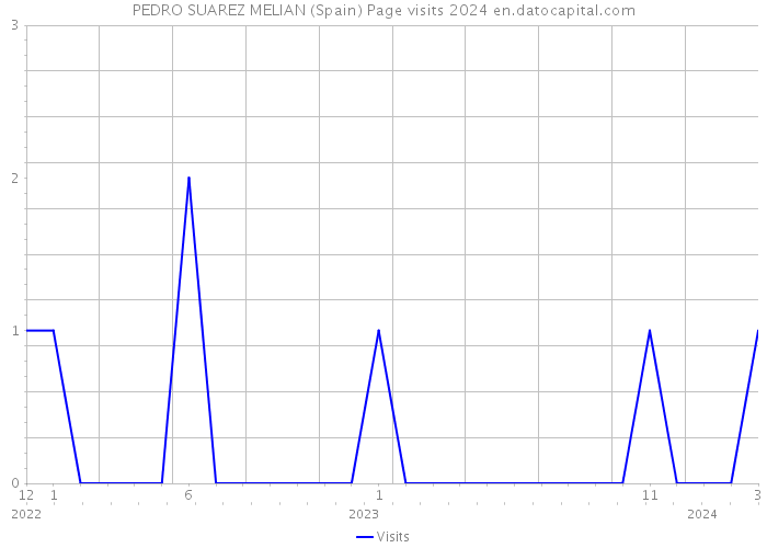 PEDRO SUAREZ MELIAN (Spain) Page visits 2024 