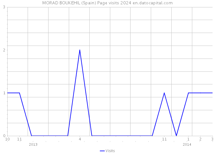 MORAD BOUKEHIL (Spain) Page visits 2024 