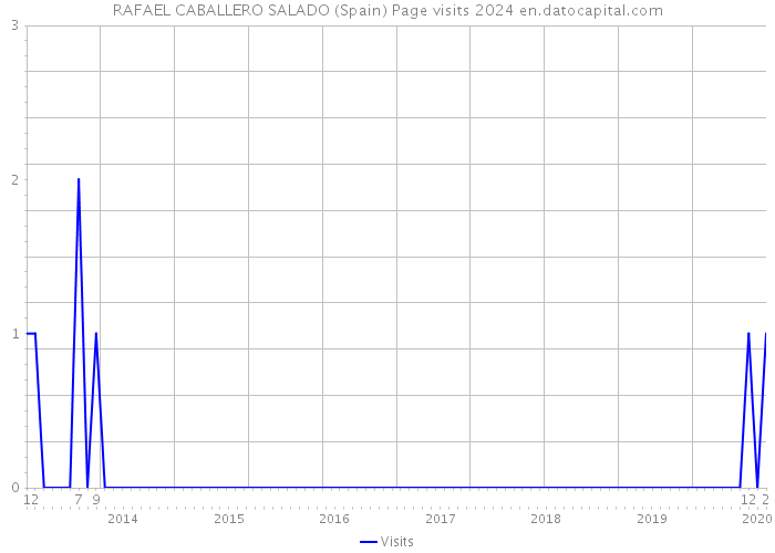RAFAEL CABALLERO SALADO (Spain) Page visits 2024 