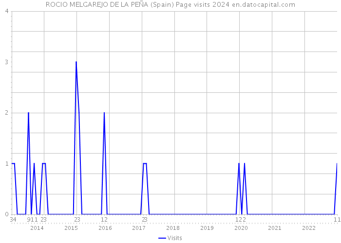 ROCIO MELGAREJO DE LA PEÑA (Spain) Page visits 2024 