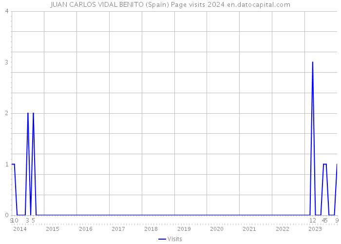 JUAN CARLOS VIDAL BENITO (Spain) Page visits 2024 