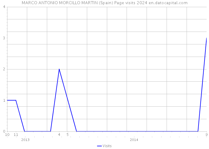 MARCO ANTONIO MORCILLO MARTIN (Spain) Page visits 2024 