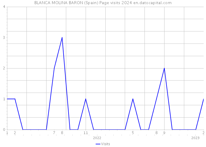 BLANCA MOLINA BARON (Spain) Page visits 2024 