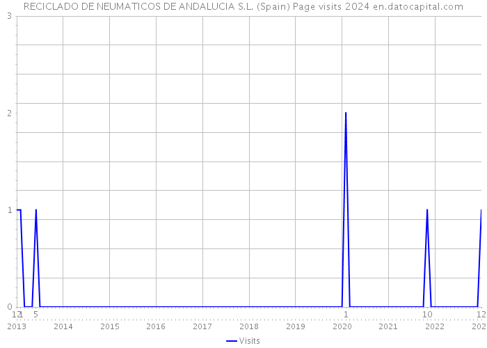 RECICLADO DE NEUMATICOS DE ANDALUCIA S.L. (Spain) Page visits 2024 