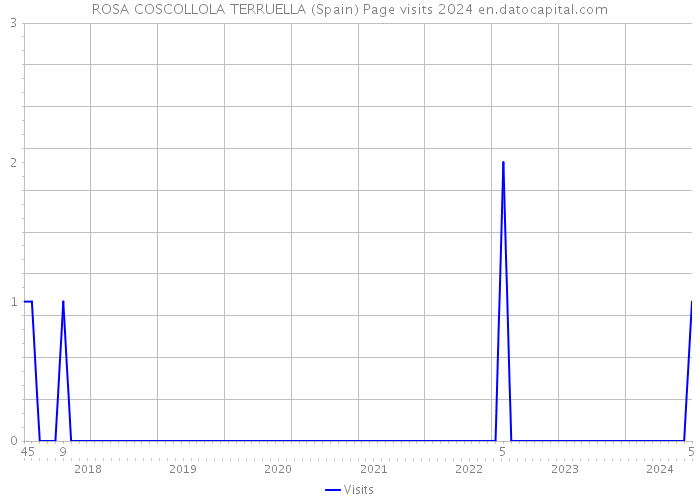 ROSA COSCOLLOLA TERRUELLA (Spain) Page visits 2024 