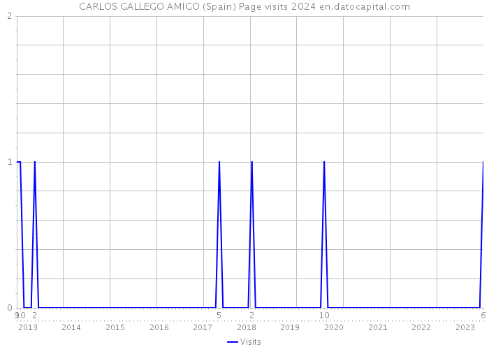 CARLOS GALLEGO AMIGO (Spain) Page visits 2024 