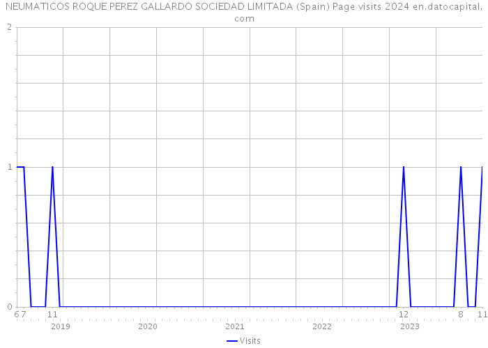 NEUMATICOS ROQUE PEREZ GALLARDO SOCIEDAD LIMITADA (Spain) Page visits 2024 