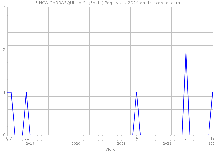 FINCA CARRASQUILLA SL (Spain) Page visits 2024 