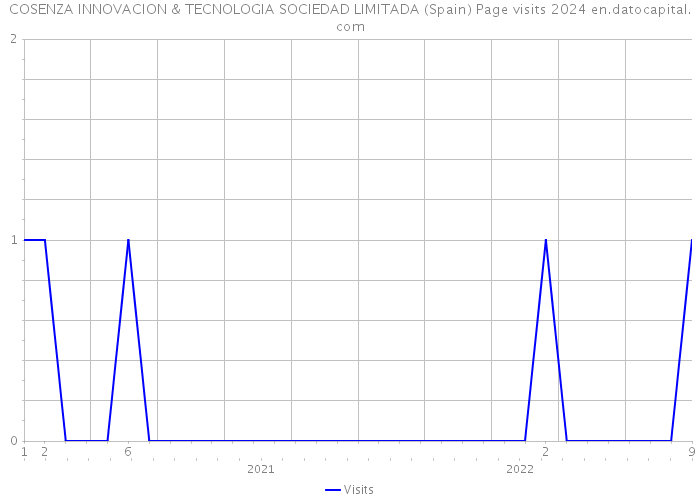 COSENZA INNOVACION & TECNOLOGIA SOCIEDAD LIMITADA (Spain) Page visits 2024 