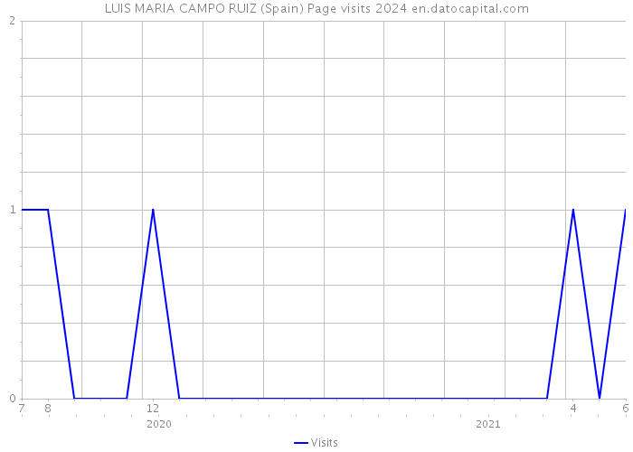 LUIS MARIA CAMPO RUIZ (Spain) Page visits 2024 