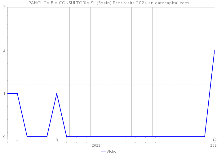 PANCUCA FJA CONSULTORIA SL (Spain) Page visits 2024 