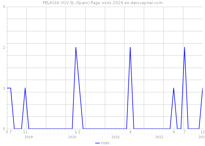 PELAGIA VGV SL (Spain) Page visits 2024 