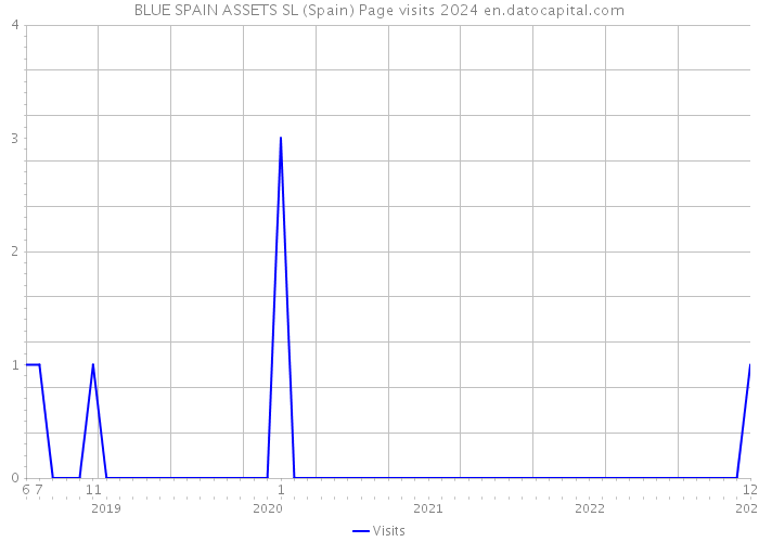 BLUE SPAIN ASSETS SL (Spain) Page visits 2024 