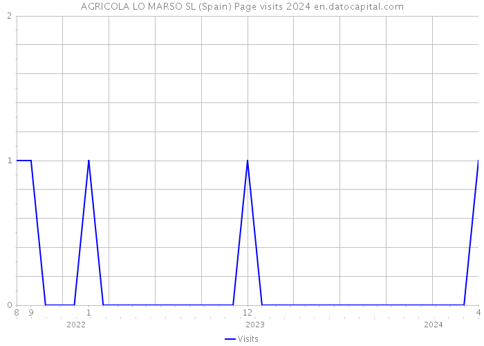 AGRICOLA LO MARSO SL (Spain) Page visits 2024 