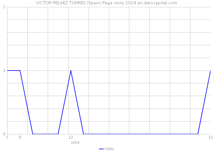 VICTOR PELAEZ TORRES (Spain) Page visits 2024 