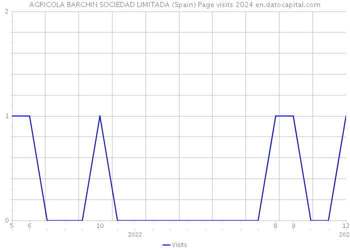 AGRICOLA BARCHIN SOCIEDAD LIMITADA (Spain) Page visits 2024 